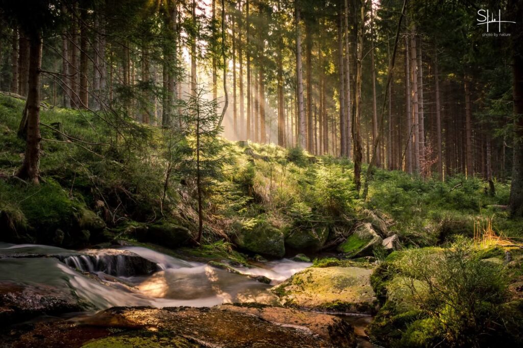 Landschaftsfoto aus dem Harz. Fotograf Steffen Henze.